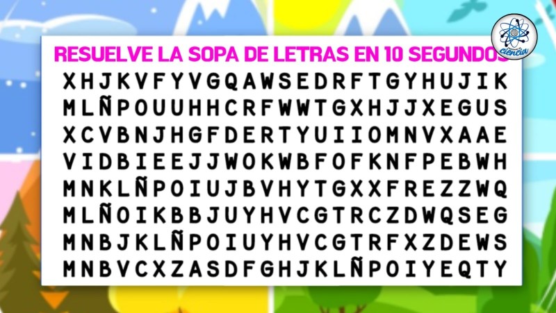 Acertijo visual de 10 segundos: Encuentra las palabras PRIMAVERA, VERANO, OTOÑO e INVIERNO 