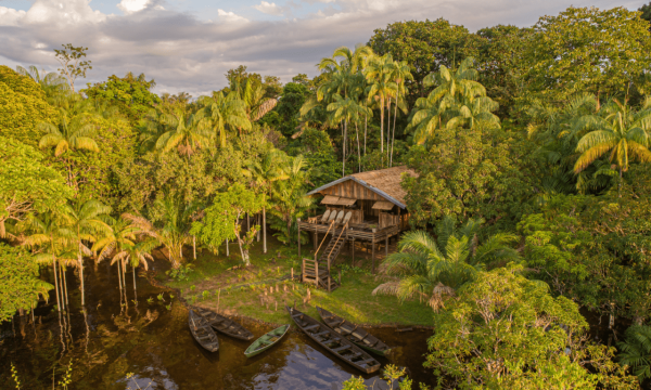 Amazonia: el lugar donde sucede el asombro