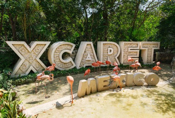Dueño de Xcaret, ¿cuál es la historia detrás del líder de este destino turístico? - Alto Nivel