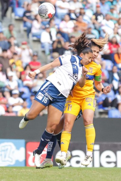 Nayeli Rangel sale en camilla tras terrible golpe en el rostro (VIDEO)