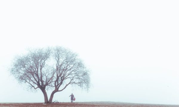 No disparen, soy la dignidad