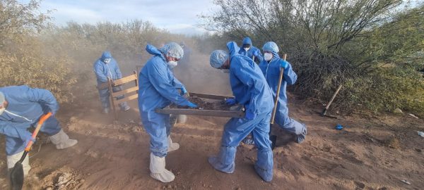Mantiene FGJES procesamiento de restos óseos en “El Choyudo” | Radio Sonora