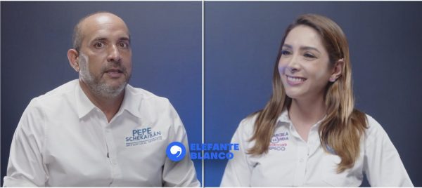 Marcela Unda y Pepe Schekaibán, la fórmula panista que lucha por mantener los contrapesos en el Congreso - Elefante Blanco