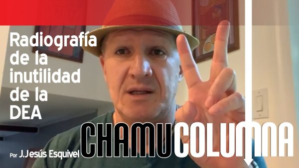 Radiografía de la inutilidad de la DEA