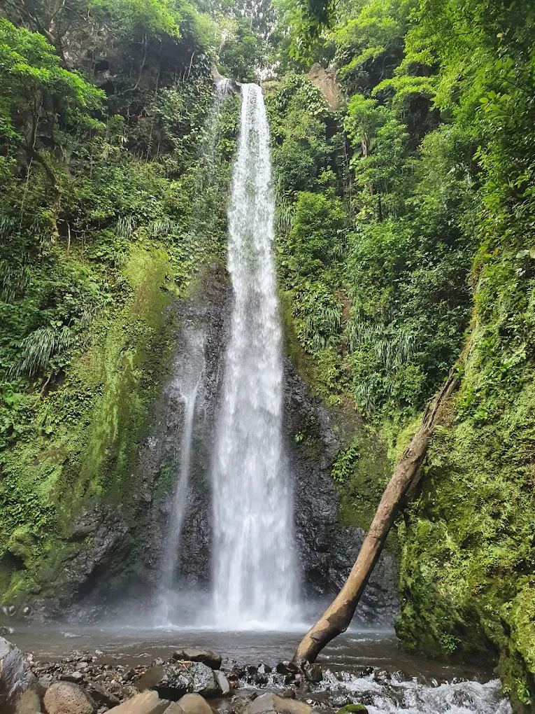 Descubre las cascadas menos exploradas de Veracruz - México Desconocido