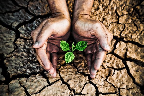 ¿La conciencia ambiental es una amenaza de muerte?