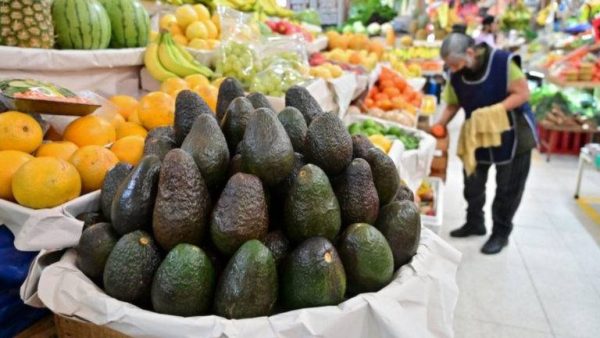 México reactiva exportación de aguacate y mango a Estados Unidos - RegeneraciónMX