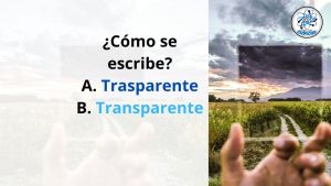¿Se escribe «trasparente» o «transparente»? Esta es la forma correcta, según la RAE