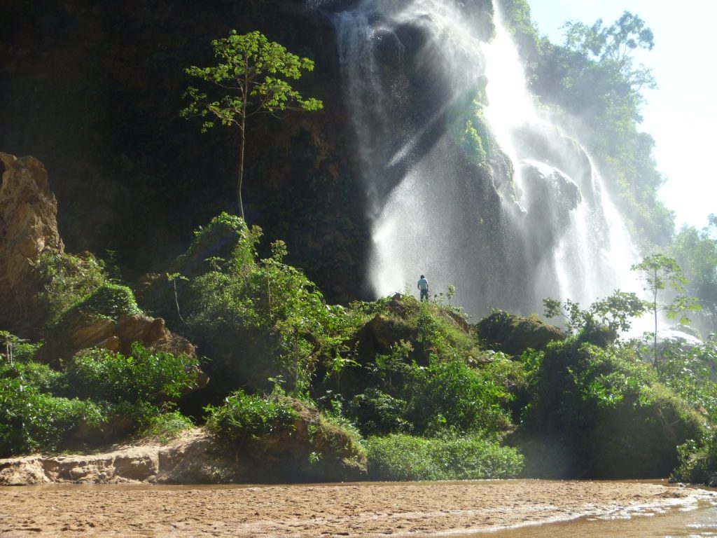 Selva El Ocote, viaje al corazón de la madre naturaleza - México Desconocido