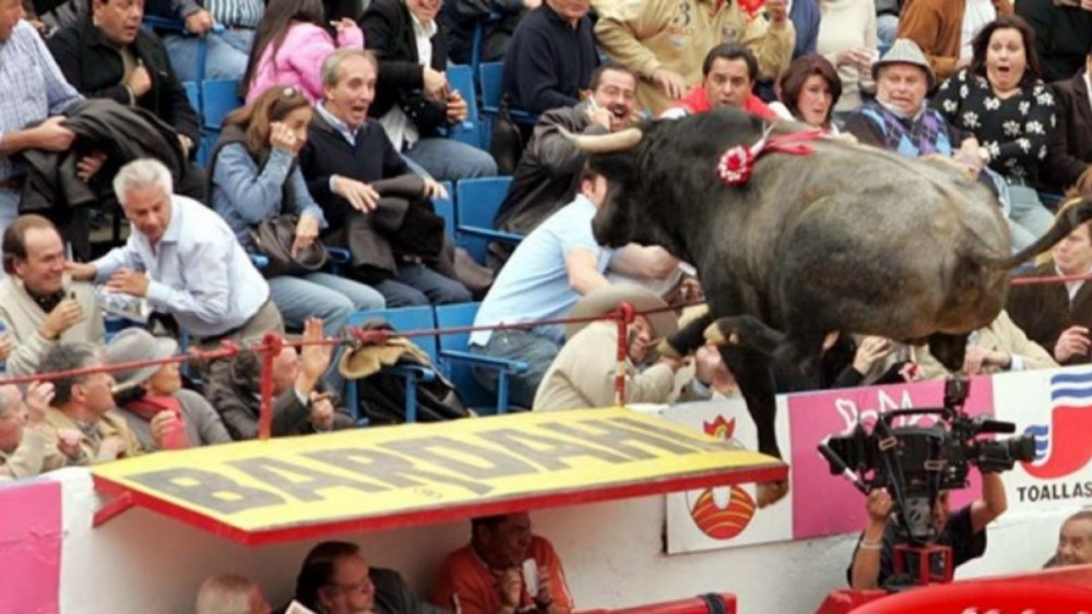 Toro Pajarito, el animal de 503 kilos que voló en la Plaza México - México Desconocido