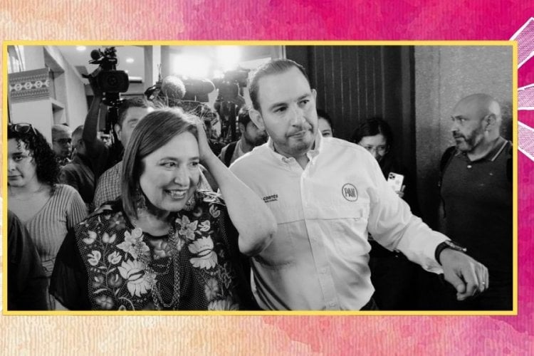 (VIDEO) ‘Se MOLESTÓ’: Marko Cortés se ENOJÓ con Xóchitl por felicitar a Sheinbaum, revela Max Cortázar