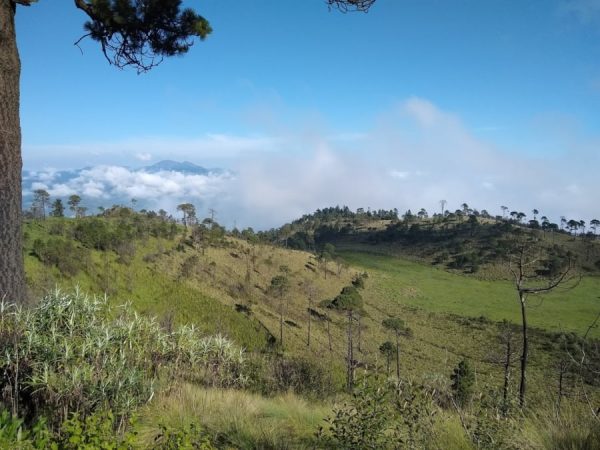 Cuauhtzin, un volcán en la CDMX - México Desconocido