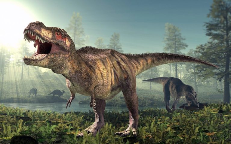Los dinosaurios nunca caminaron entre selvas tropicales como creíamos hasta ahora - National Geographic en Español