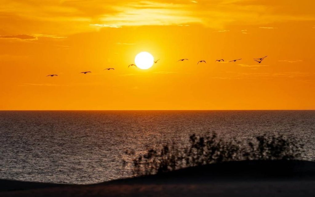 Playa Sahuimaro: la joya oculta que te maravillará con sus dunas en Sonora
