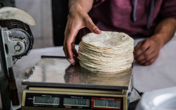 Van por la digitalización de tortillerías