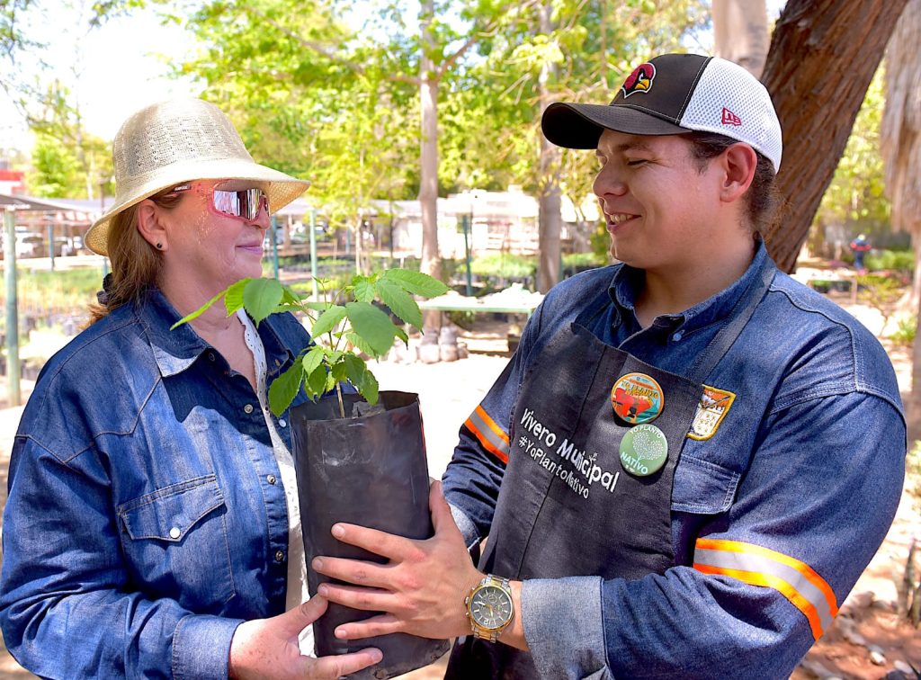 ¿Quieres un árbol nativo?acude al Vivero Municipal | Radio Sonora