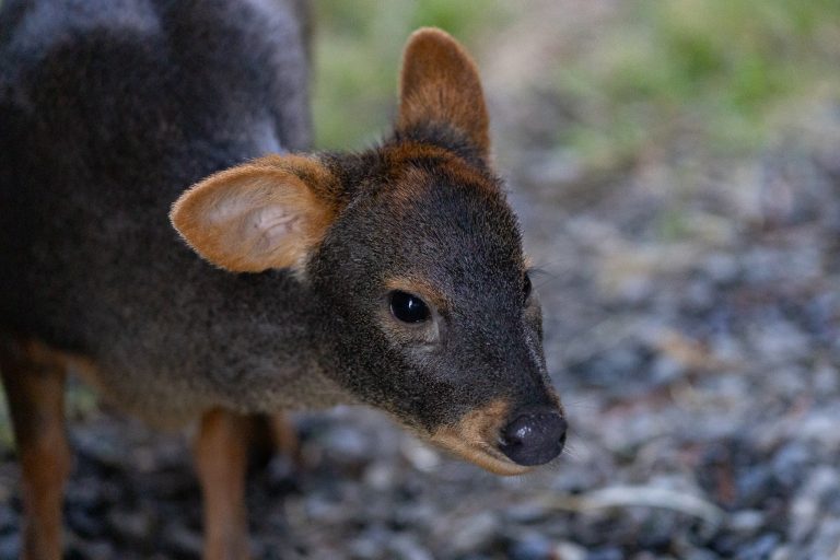 "Si nos vamos sin ser atendidas, entendemos que vienen seis años muy difíciles para nosotras": madres buscadoras - Pie de Página