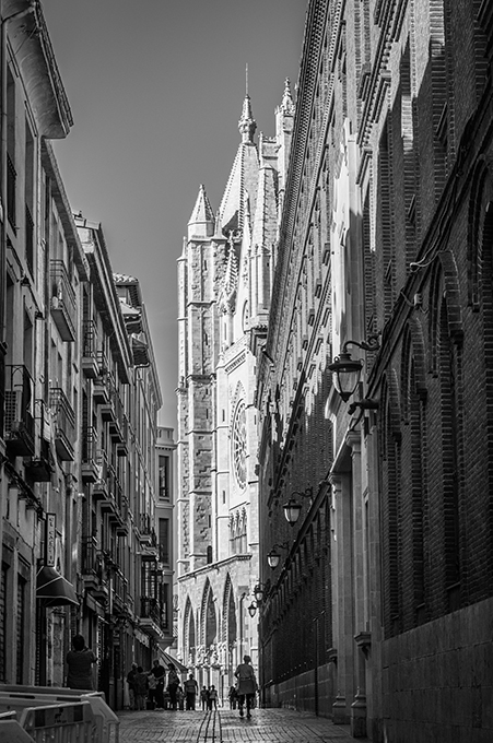 Tour Gastronómico por el Valle de Guadalupe: Lunario, sueño de una noche de verano