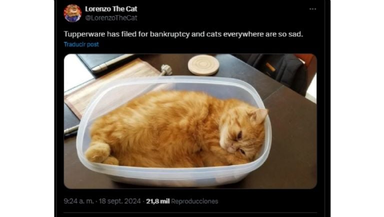 ¿Desaparece Tupperware? Los memes lloran, el itacate y el lunch