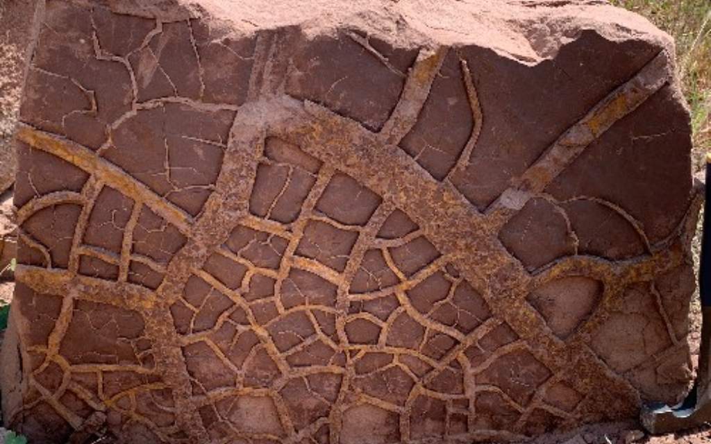 El fenómeno de El Niño desencadenó la mayor extinción en la historia de la Tierra - National Geographic en Español