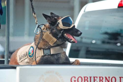 La Jornada: Todos en la Semar, listos para el desfile