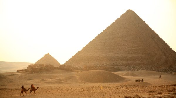Captan a perrito en la cima de la Gran Pirámide de Guiza - National Geographic en Español