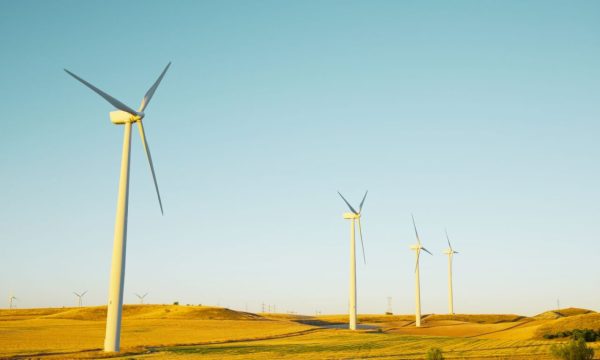 Cara y cruz de las renovables: su impacto sobre la biodiversidad - Ethic