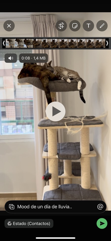 Cómo mencionar a alguien en los estados de WhatsApp