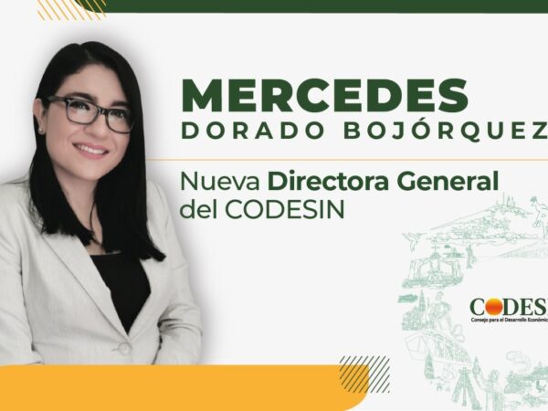 Criminales tiran volantes en Culiacán - Pie de Página