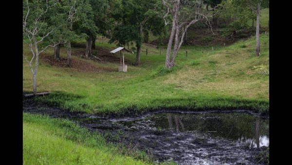 Derrame de Pemex cumple 50 días de contaminar río en Papantla - Pie de Página