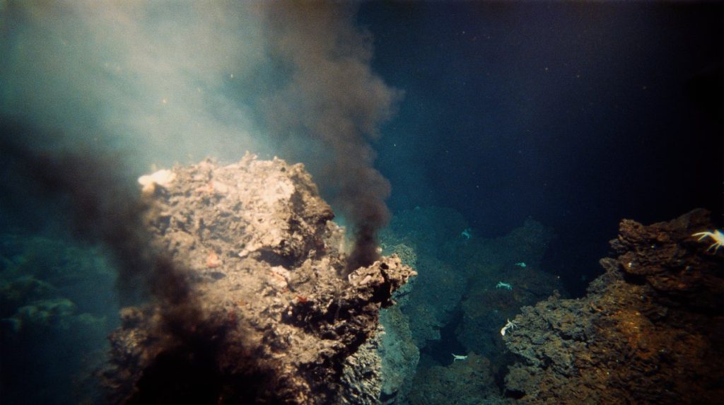Descubren nuevas especies en fuentes hidrotermales del fondo oceánico - National Geographic en Español