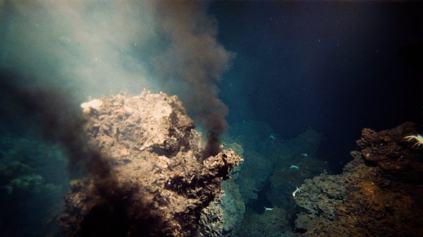 Descubren nuevas especies en fuentes hidrotermales del fondo oceánico - National Geographic en Español