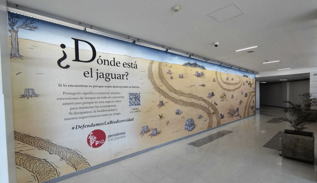 "¿Dónde está el jaguar?", una campaña que alerta por la pérdida de biodiversidad