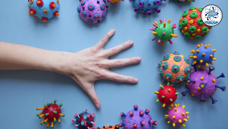 El 8% de tu ADN no es tuyo, es de los virus que te acompañan y para esto sirven