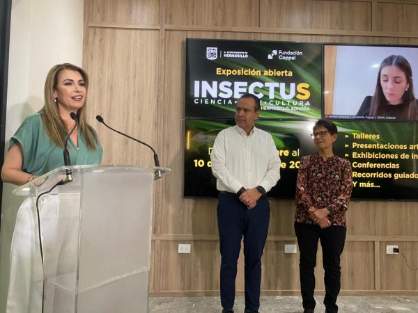 Hermosillo será sede de la exposición fotográfica Insectus | Radio Sonora