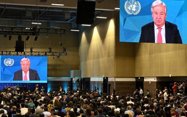 Jefe de ONU pide en COP16 "inversión significativa" para salvar la naturaleza