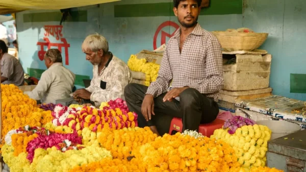 La genda: la sacralidad de la flor de cempasúchil en la India - México Desconocido