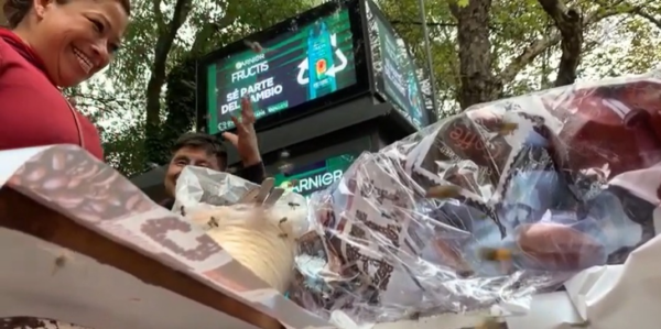 "La señora de las abejas", reina de un enjambre en la Condesa - México Desconocido