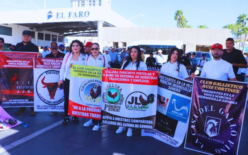 Ley de protección y bienestar animal: Galleros continúan en contra