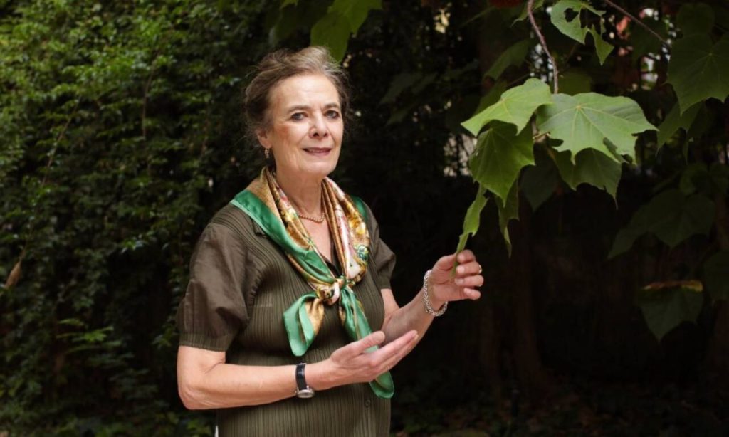 «Lo más destructivo que hay es hacer agricultura en zonas que no son muy fértiles»