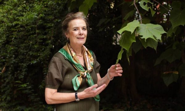 «Lo más destructivo que hay es hacer agricultura en zonas que no son muy fértiles»