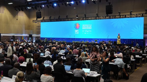 ¿Logrará la COP16 participación de los indígenas en las decisiones sobre biodiversidad?