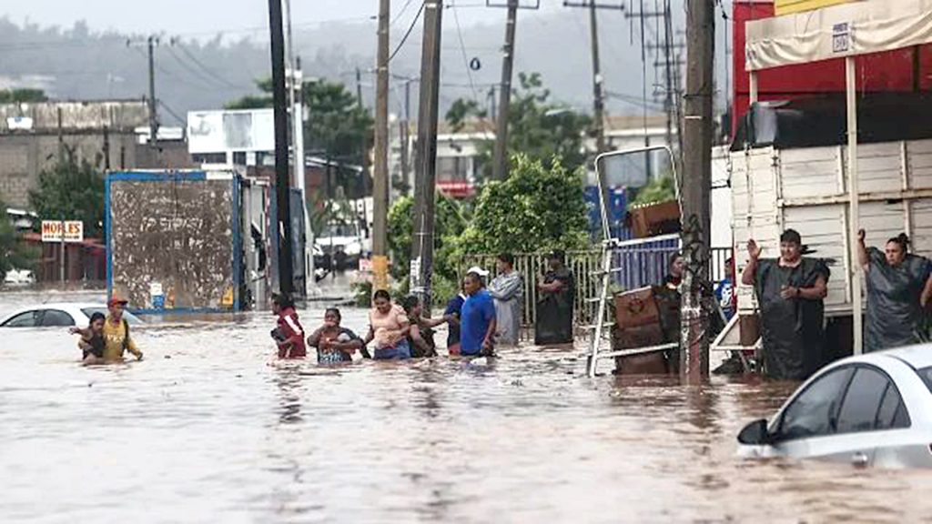 Un grito desesperado desde Acapulco - Pie de Página