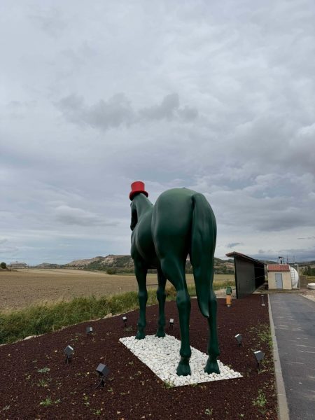 WARP en Ribera del Duero: entrevista con Carmelo Rodero de Bodegas Rodero