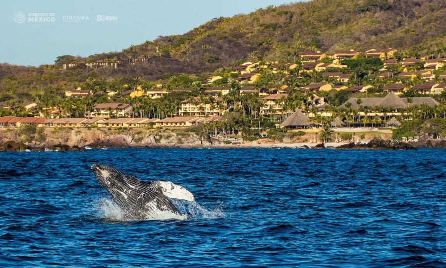 3 lugares de Baja California Sur que son Patrimonio de la Humanidad