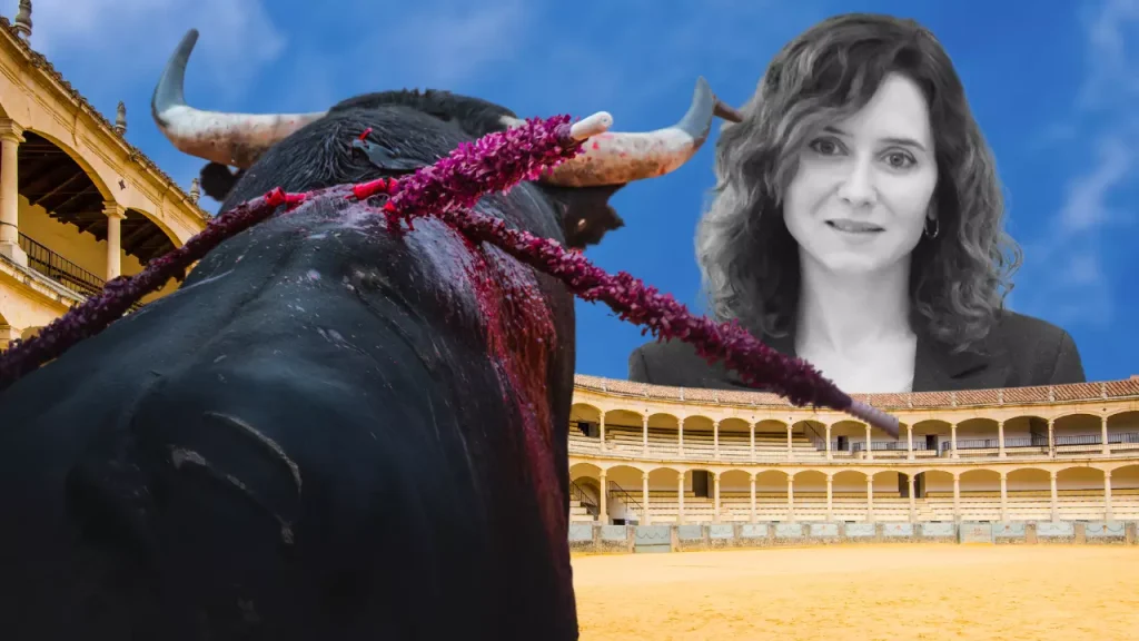 Ayuso blinda la tortura animal y recorta en cultura: así financia la derecha la supervivencia de la tauromaquia