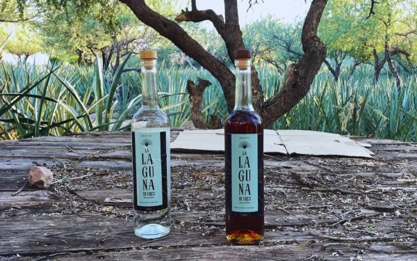 Bacanora: Una tradición muy sonorense que se sigue haciendo de manera artesanal