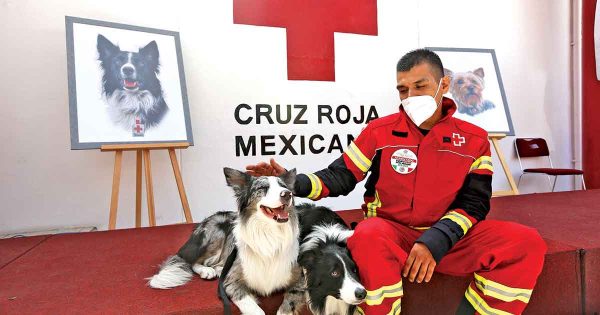 Corte avala pena mayor al asesino de Athos y Tango