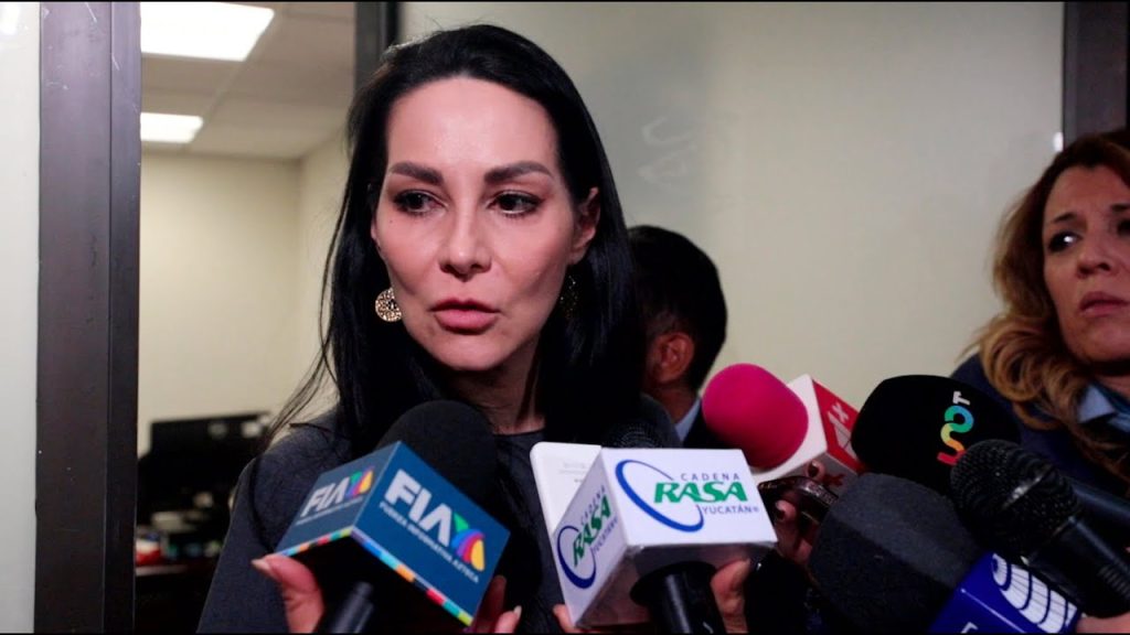 El próximo jueves, la Comisión de Presupuesto sostendrá reunión de trabajo con el INE: diputada Merilyn Gómez