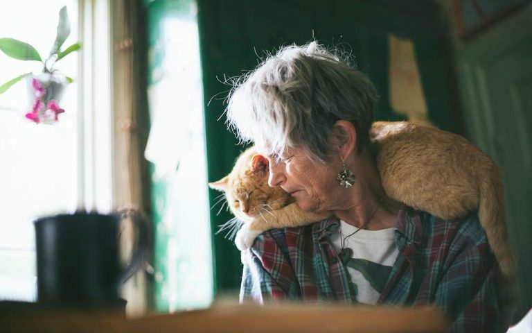 ¿Existe una fórmula para revertir las canas y devolverle el color natural al cabello?